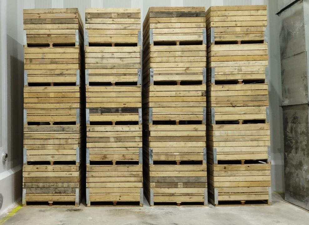 Cold Storage